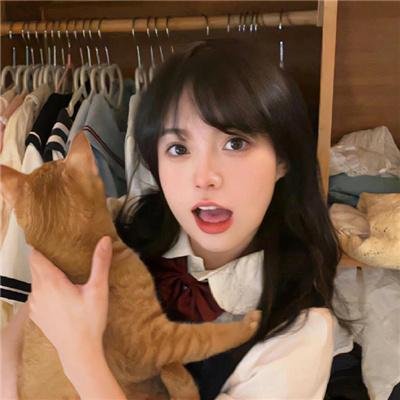 明星志愿